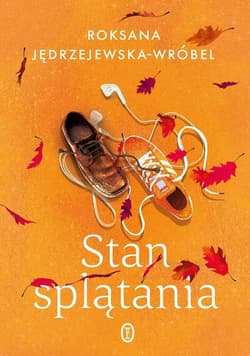 Stan splątania - Jędrzejewska-Wróbel Roksana