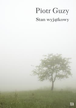 Stan wyjątkowy - Piotr Guzy