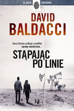 Stąpając po linie - David Baldacci