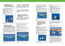 Galeria - zdjęcie nr. 2 - Sternik motorowodny