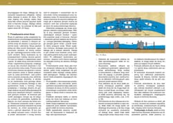 Galeria - zdjęcie nr. 4 - Sternik motorowodny