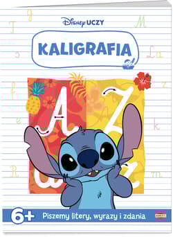 Stich. Kaligrafia - Praca zbiorowa