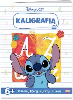 Stich. Kaligrafia - Praca zbiorowa