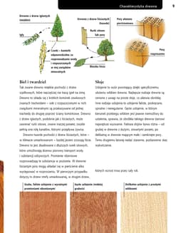 Galeria - zdjęcie nr. 2 - Stolarstwo. materiały, narzędzia, techniki, projekty