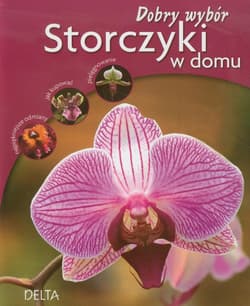 Storczyki w domu Dobry wybór najpiękniejsze odmiany, jak kupować, pielęgnowanie