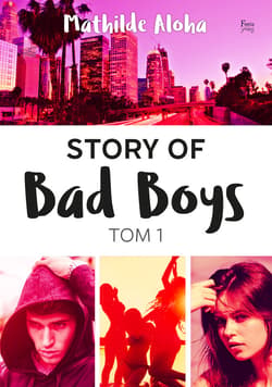 Story of Bad Boys 1 - ebook - Mathilde Aloha