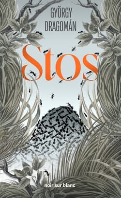 Stos - ebook