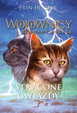 Stracone Gwiazdy - Erin Hunter