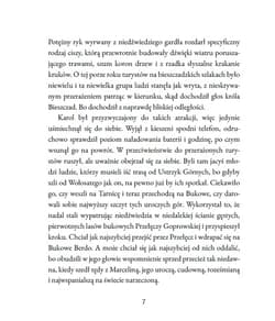 Galeria - zdjęcie nr. 1 - Strzępy