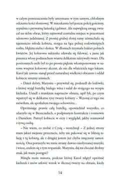 Galeria - zdjęcie nr. 2 - Strzępy