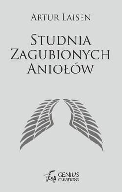 Studnia Zagubionych Aniołów - Artur Laisen