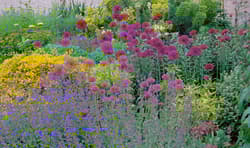 Galeria - zdjęcie nr. 2 - Suchy ogród. Lekcje z Ogrodu Żwirowego Beth Chatto