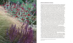 Galeria - zdjęcie nr. 3 - Suchy ogród. Lekcje z Ogrodu Żwirowego Beth Chatto