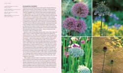 Galeria - zdjęcie nr. 5 - Suchy ogród. Lekcje z Ogrodu Żwirowego Beth Chatto