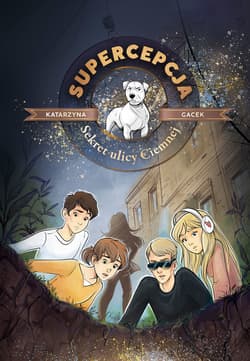 Supercepcja. Sekret ulicy Ciemnej - ebook - Katarzyna Stachowicz-Gacek