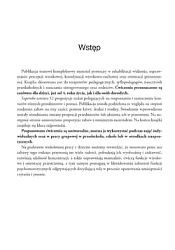 Galeria - zdjęcie nr. 4 - Superoko Ćwiczenia usprawniające percepcję wzrokową koordynację ruchowo-wzrokową i orientację przestrzenną dla dzieci i dorosłych