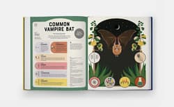 Galeria - zdjęcie nr. 4 - Superpowered Animals