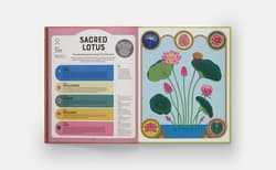 Galeria - zdjęcie nr. 5 - Superpowered Plants. Meet the Smartest, Strongest, and Sneakiest Plants