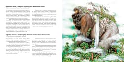 Galeria - zdjęcie nr. 4 - Świat koloru