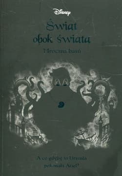 Świat obok świata Mroczna baśń - Liz Braswell