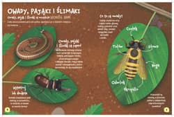 Galeria - zdjęcie nr. 2 - Świat robali