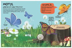 Galeria - zdjęcie nr. 3 - Świat robali