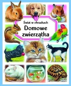 Świat w obrazkach Domowe zwierzątka - Reinig Patricia