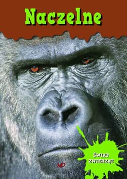 Świat zwierząt Naczelne