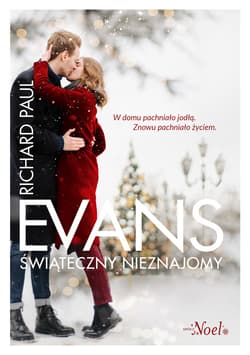 Świąteczny nieznajomy - ebook - Richard Paul Evans