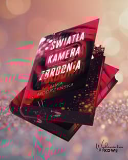 Galeria - zdjęcie nr. 4 - Światła Kamera Zbrodnia (ilustrowane brzegi)