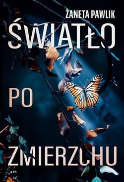 Światło po zmierzchu - ebook - Żaneta Pawlik