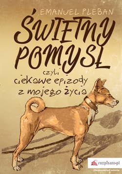 Świetny pomysł czyli ciekawe epizody z mojego życia