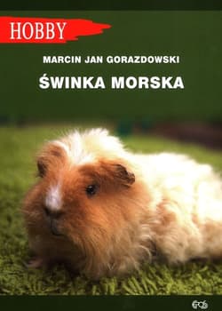 Świnka morska - Gorazdowski Marcin Jan
