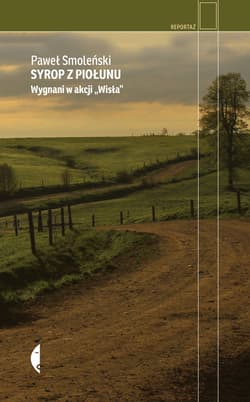 Syrop z piołunu - ebook - Paweł Smoleński