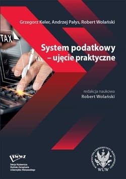 System podatkowy - ujęcie praktyczne - Andrzej Pałys