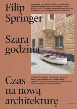Szara godzina - ebook - Filip Springer