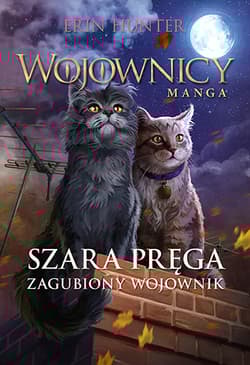 Szara Pręga Zagubiony wojownik Wojownicy Manga IV