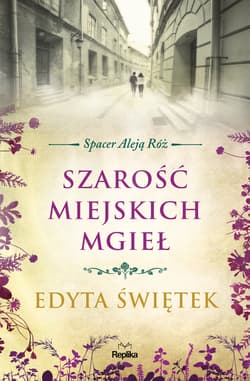 Szarość miejskich mgieł - ebook