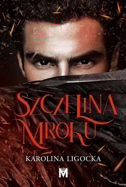 Szczelina mroku - Karolina Ligocka