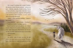 Galeria - zdjęcie nr. 2 - Szczęściarz