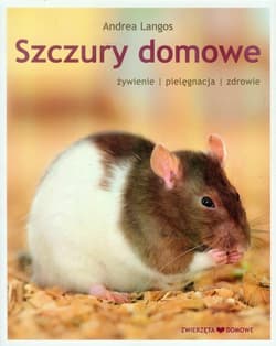 Szczury domowe żywienie pielęgnacja zdrowie
