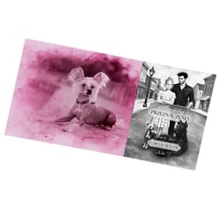 Galeria - zdjęcie nr. 4 - Szepty przeznaczenia. Szepty. Tom 1. Część 1. (ilustrowane brzegi)