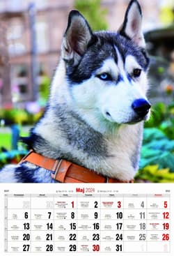 Szepty wielkich murów - Hannibal Smoke