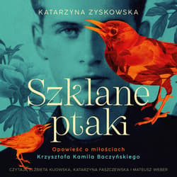 Szklane ptaki - audiobook