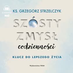 Szósty zmysł codzienności. Klucz do lepszego.. CD - Tomasz Wysocki, Grzegorz  Strzelczyk