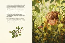 Galeria - zdjęcie nr. 4 - Szpinakowa Staruszka