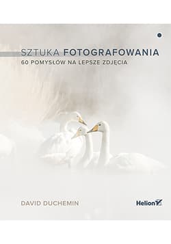Sztuka fotografowania 60 pomysłów na lepsze zdjęcia - David duChemin