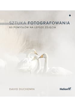 Sztuka fotografowania 60 pomysłów na lepsze zdjęcia - David duChemin