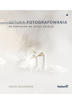 Sztuka fotografowania. 60 pomysłów na lepsze zdjęcia (przepakowanie 2) - David duChemin