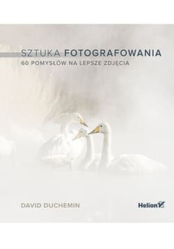 Sztuka fotografowania. 60 pomysłów na lepsze zdjęcia (przepakowanie 2) - David duChemin